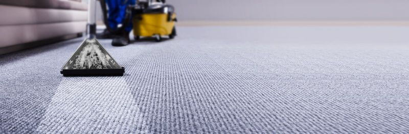 Revive Your Carpets: The Power of Professional Carpet Cleaning