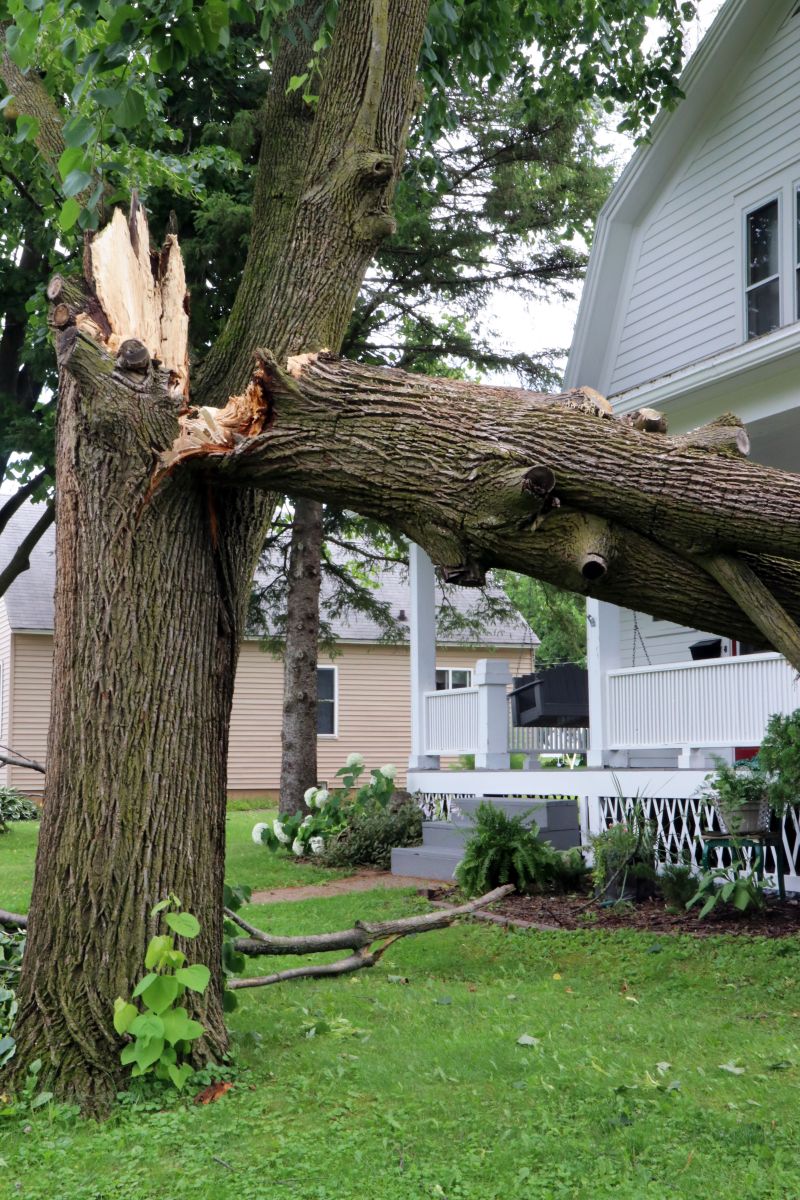 After the Storm: Expert Storm Damage Restoration You Can Trust
