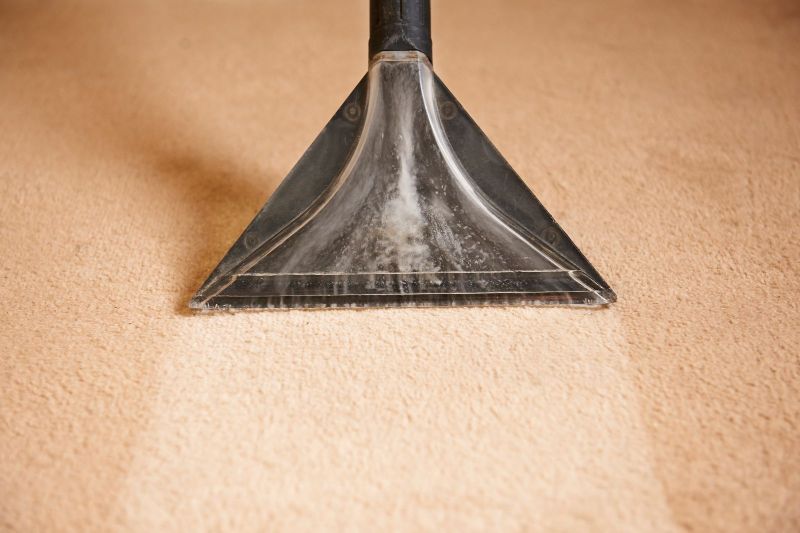 The Ultimate Guide to Carpet Cleaning: Tips and Tricks