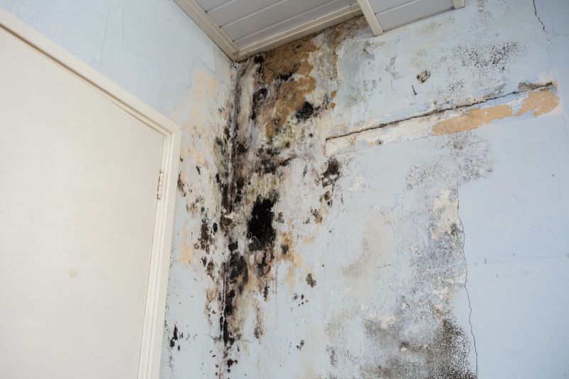 Five Warning Signs That Your Home Has A Mold Problem.