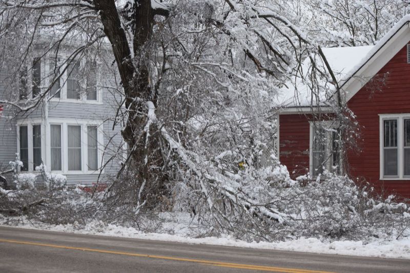 Storm damage restoration: Everything you need to know.